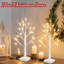 Ensemble de 2 boules de Noël illuminées, arbre artificiel avec 24 lumières à DEL blanc chaud, décorations de chambre à minuterie à piles, arbres de table pour la fête de mariage (2 pi)