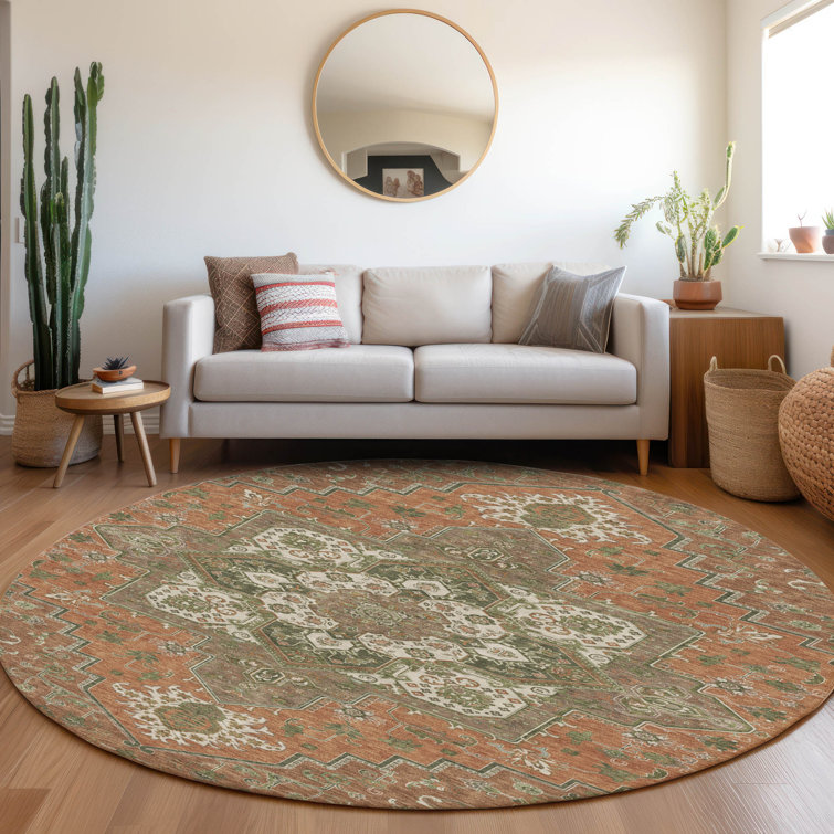 Machine Washable Indoor/Outdoor Chayden ACN1036 Rug