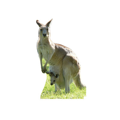 Animals 65'' Animals Cardboard Standup