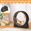 Tapis roulant d'intérieur pour animal de compagnie-106908687-111312893