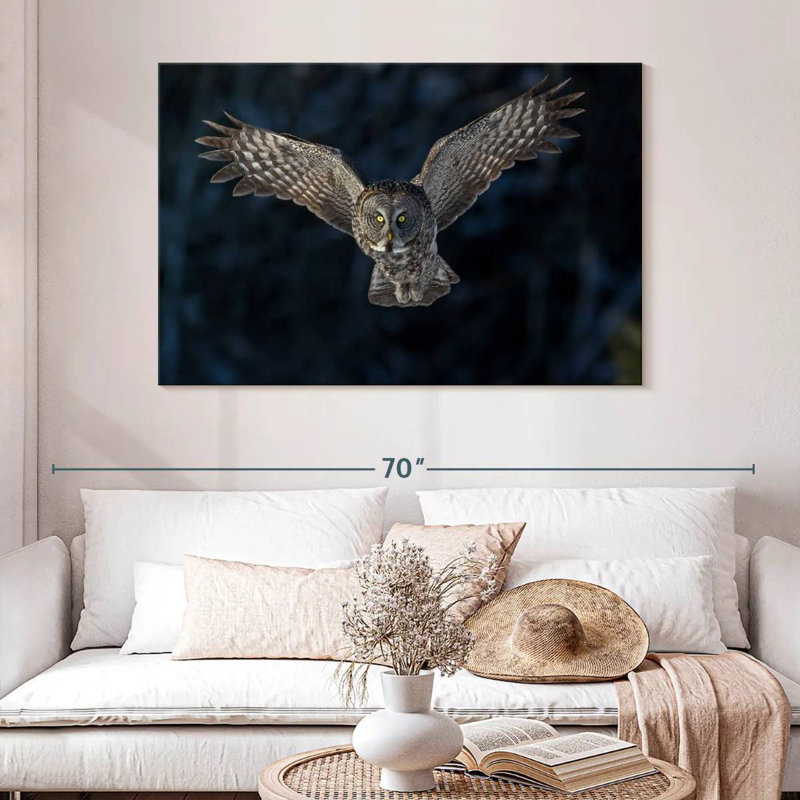 Hibou gris volant, H 32 po x l 48 po
