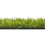 3.2cm Grass-40032173