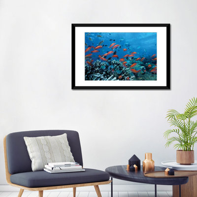 «Allyn Ocean Fish Coral Reef», reproduction sur toile tendue