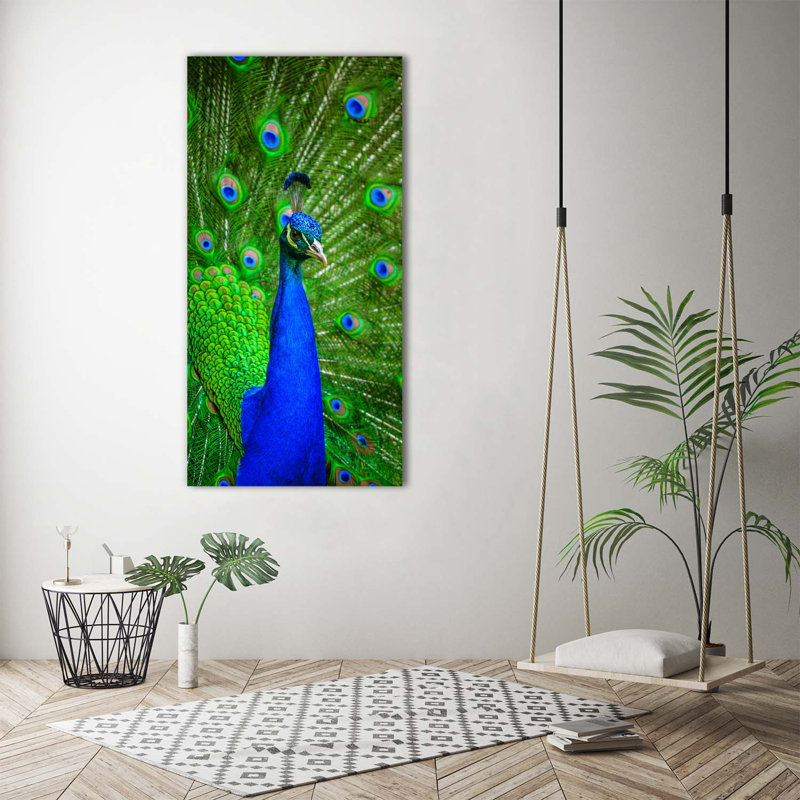Peacock - Wrapped Canvas Print