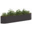 Raised Garden Bed-288469106-288469066