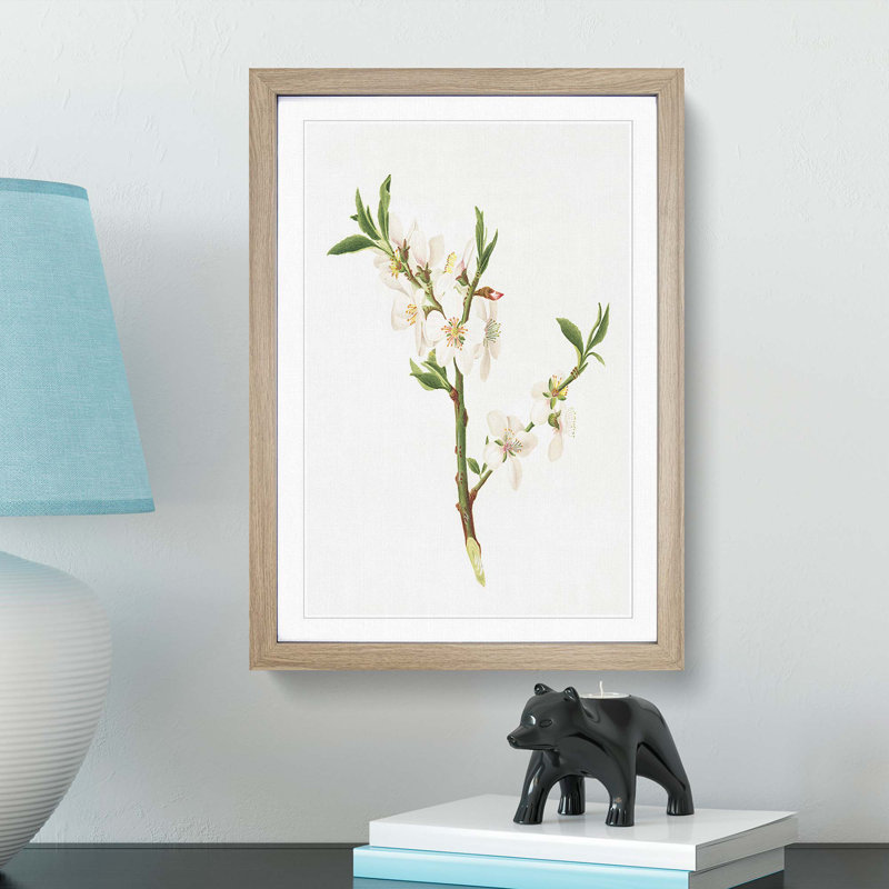 Almond Tree Flower by Giorgio Gallesio - Single Picture Frame Painting, 63cm H x 45cm W x 2cm D, Oak Framed