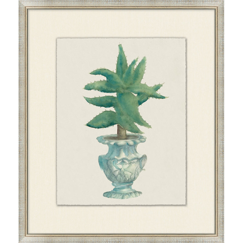Aloe Pot 4 - Peinture encadrée sur papier