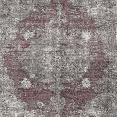 Oriental Indoor Rug