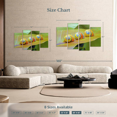Cuban Snails