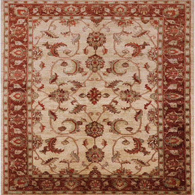 Coit Moroccan Indoor Rug