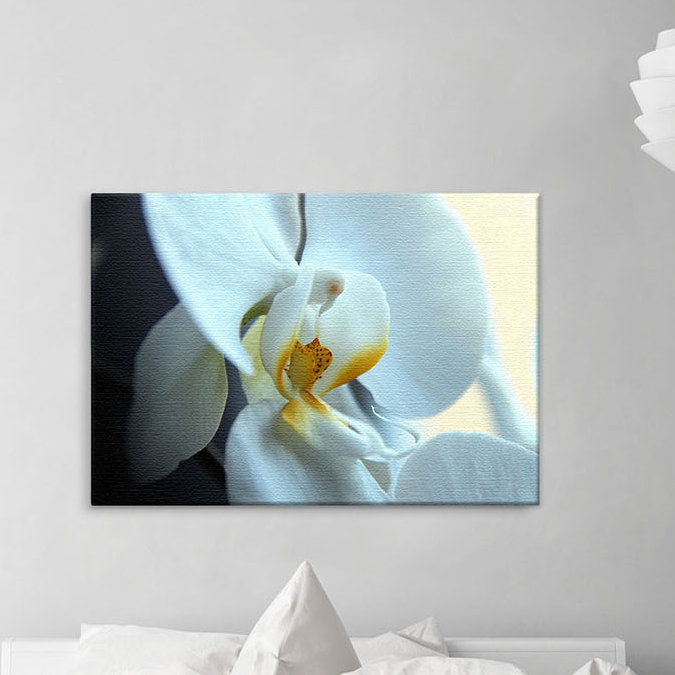 Print on Canvas, 100cm H x 150cm W x 2cm D