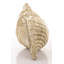 Godeus Decorative Object