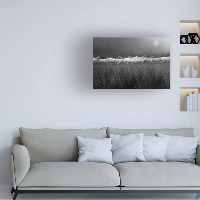 Milan Malovrh Line Canvas Art