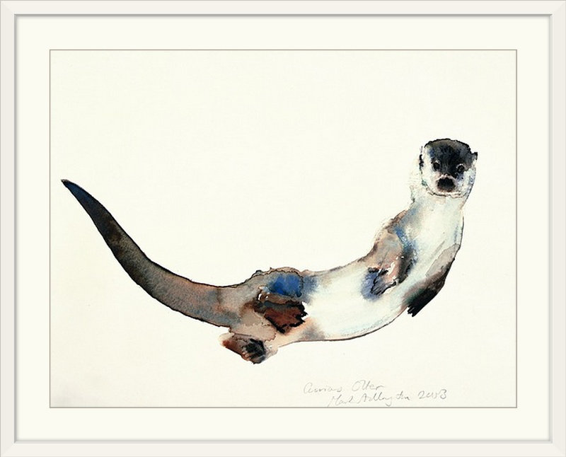 «Marrs Curious Otter, 2003 (W / C on Paper)» par Mark Adlington, impression, H 20 po x l 24 po x P 1 po, Cadre blanc