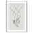 White Framed Canvas