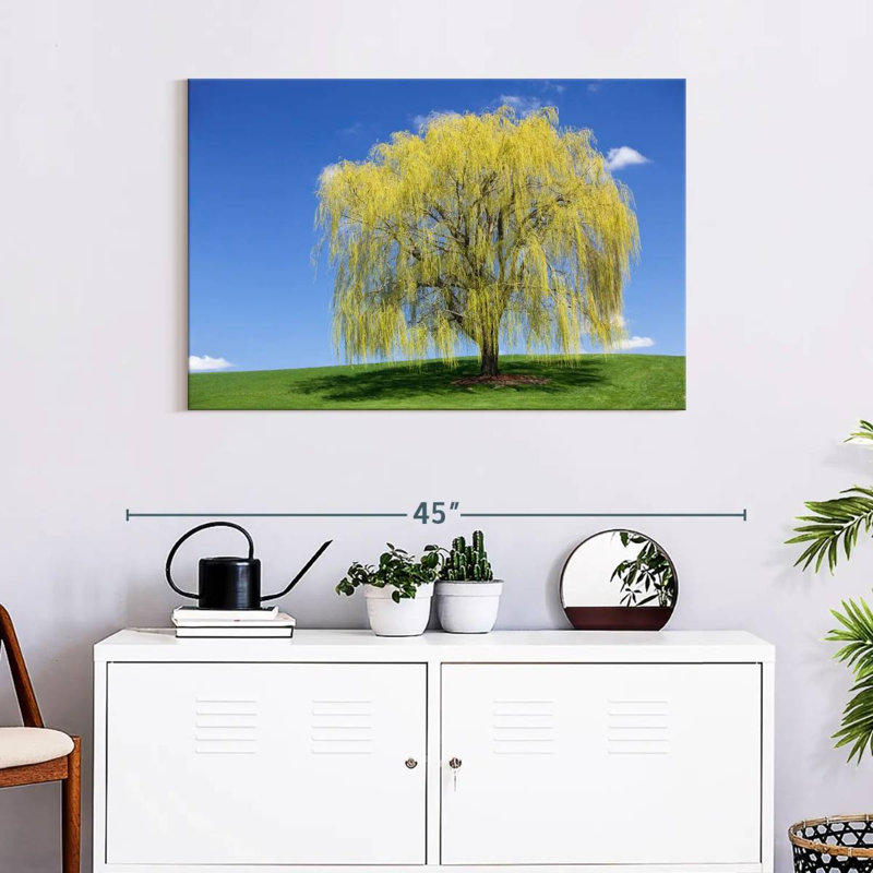 Harnek Spring Weeping Willow, 24" H x 36" W