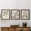 Antique sépia botanicals I - ensemble de 3 reproductions d'art sur toile-1241077293-1241077285