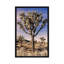 «Joshua Tree Views IV», impression sur toile-29284742-74743186-74743187