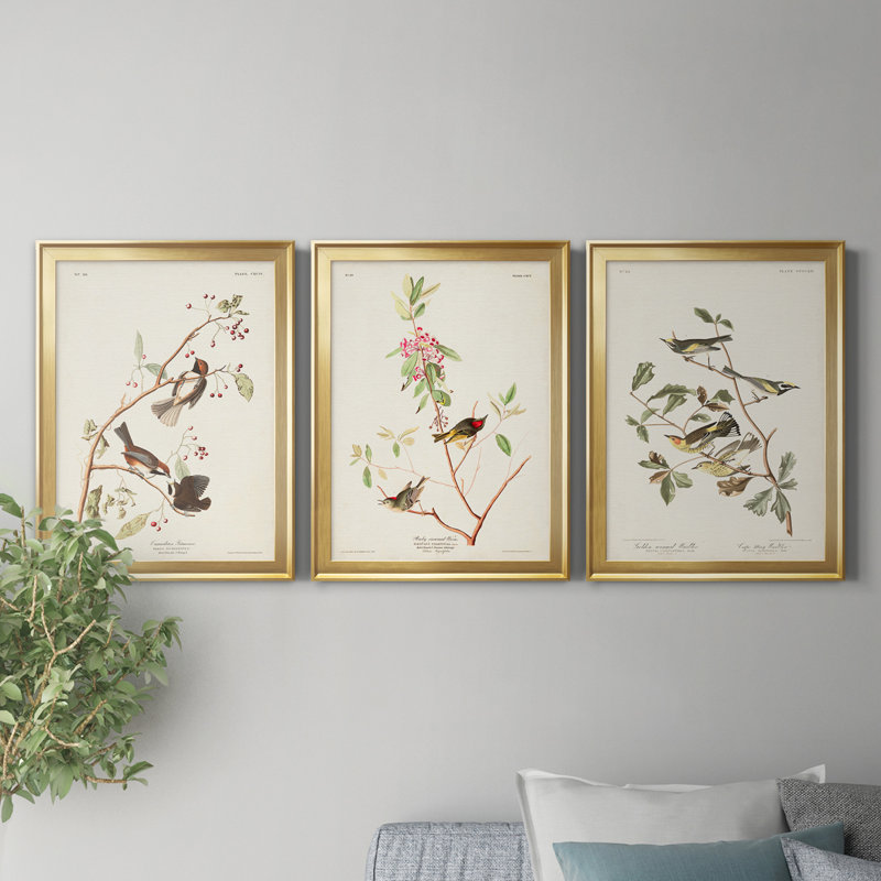 Pl. «194 Canadian Titmouse», ensemble de 3 reproductions d'art sur toile encadrées, H 18,5 po x l 73,5 po x P 1,5 po, Doré