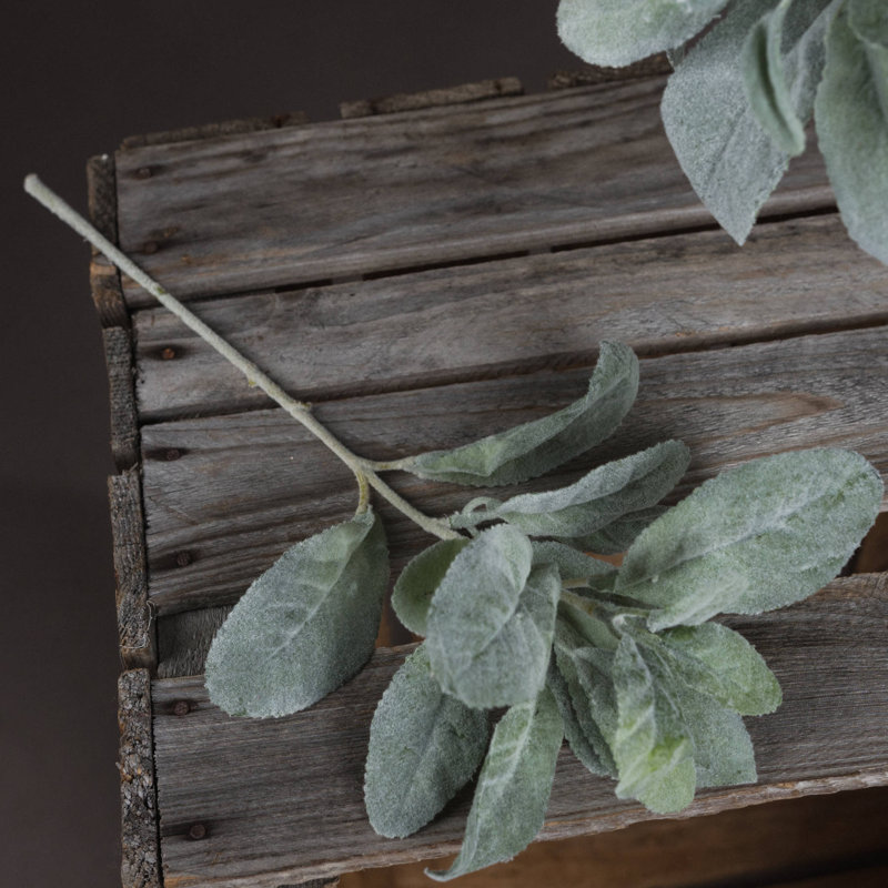 35cm Plant