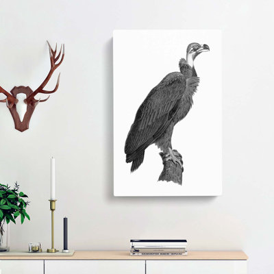 Vulture Illustration - Wrapped Canvas Print