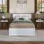 Lit Ause-1763986515-1763986510