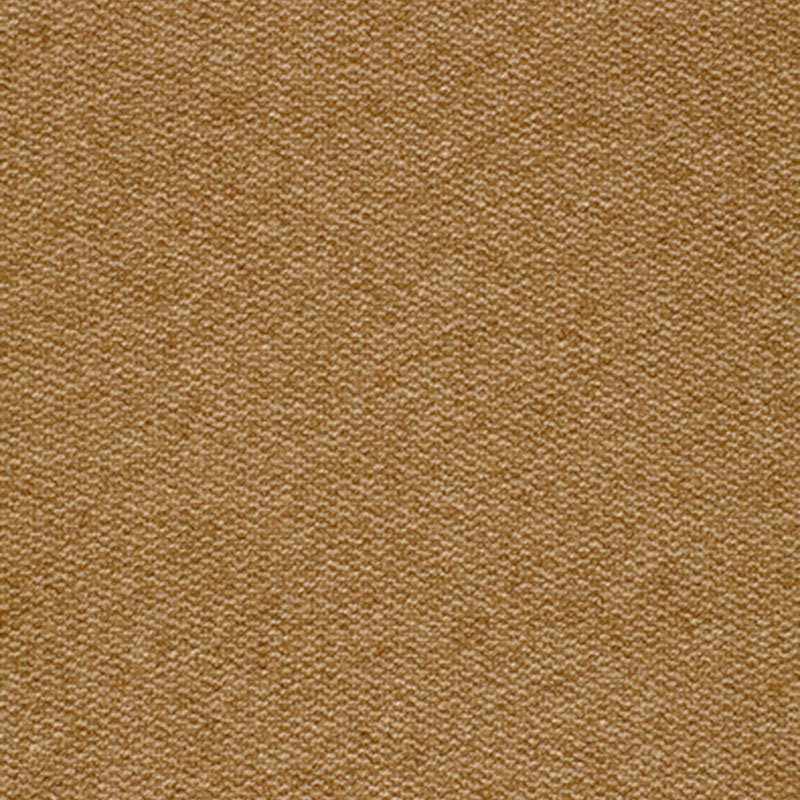 Tweedy Fabric, Vicuna