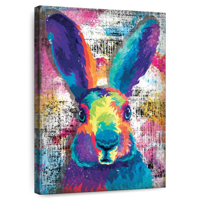 Brampt Colorful Rabbit Face