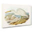 White Reef Herons by Elizabeth Gould - Wrapped Canvas-55305381