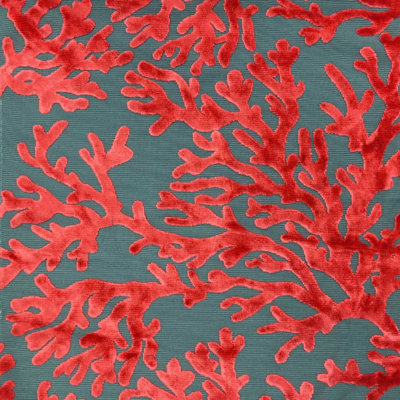 Scuba Fabric