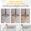 Wedowee 9 - Light Chandelier