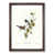 Walnut Framed selected