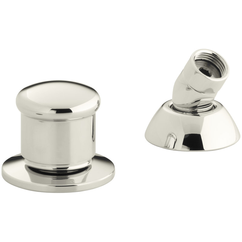 Two-Way Diverter Valve and Handshower Hose Guide, Vibrant Polished Nickel