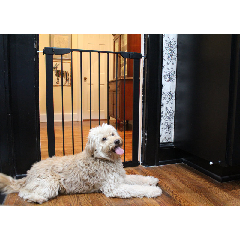 Extra Tall Black Steel Pressure Mounted Pet Gate