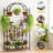 Gohagin Solid Wood Plant Stand 5 Tier