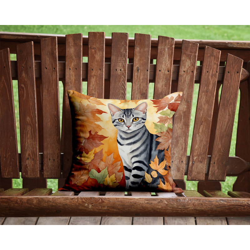 Coussin American Shorthair, Carré 14 po