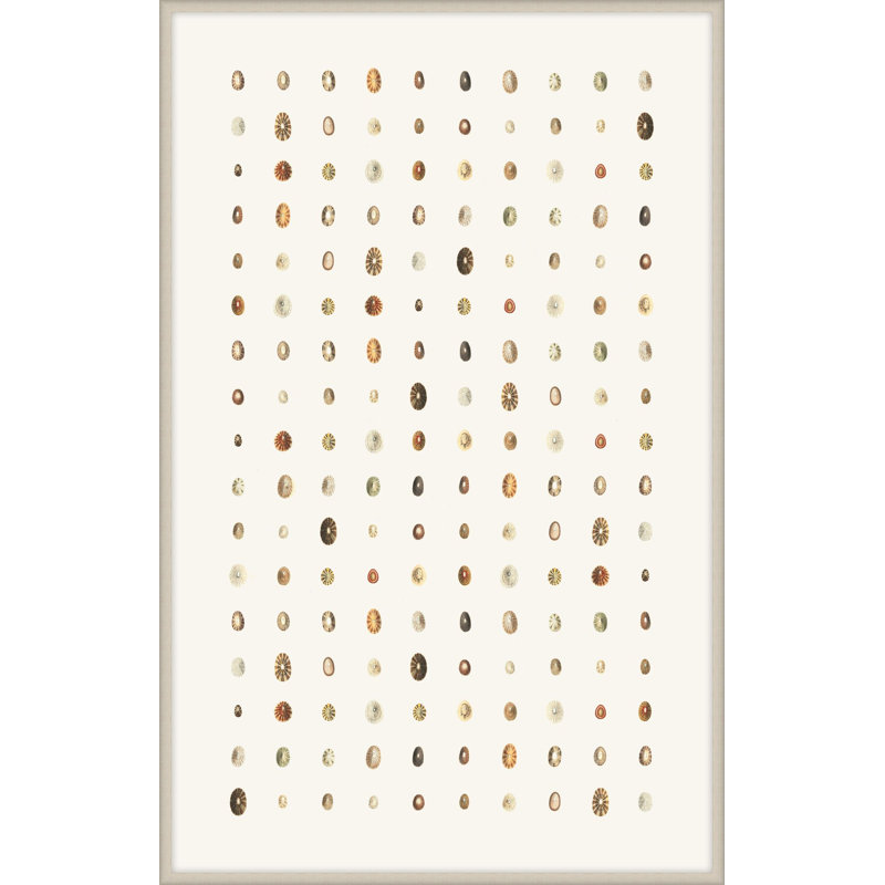 Melange 1 Print by Art House Studios, 26" H x 17" W x 1" D