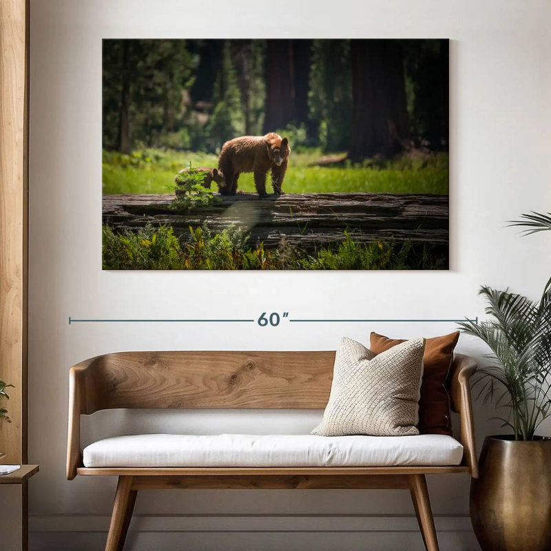 Crowle Sequoia Wild Bears, 34" H x 51" W