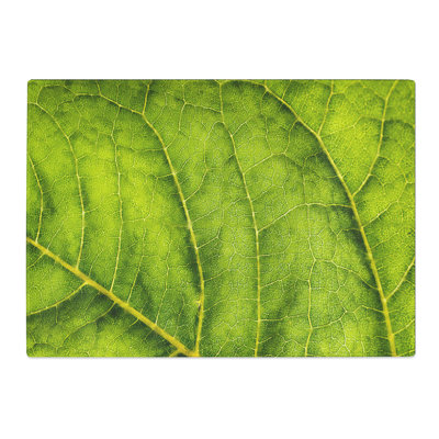 Tempered Glass Leaf Veins Chopping Board