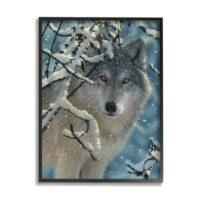 " Wolf Behind Snowy Branches Winter Wild Forest Animal "