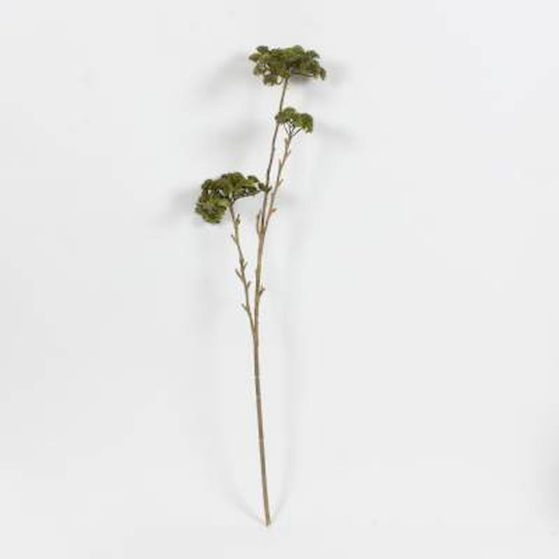 Bourre de vase plante Fionnuala