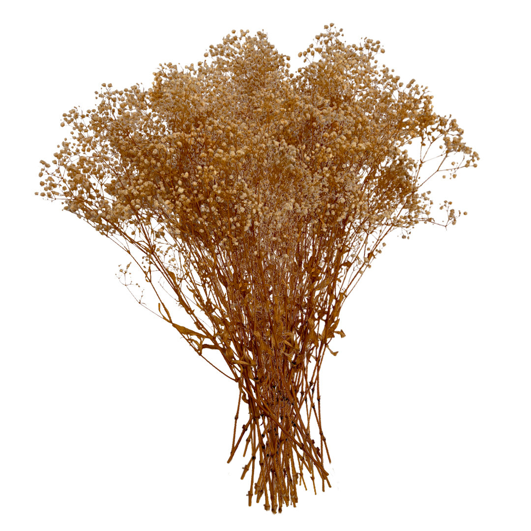 Dried Preserved Baby's Breath Stems, Pink White