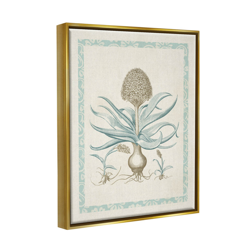 Étude de botanique latino-américaine, art giclée par Vision Studio, H 21 po x l 17 po x P 1,7 po