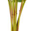 Tige de fleur artificielle Cole et Grey-855985875-855985900