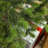 9Ft Artificial Sparse Christmas Tree-2107765740-2107765742