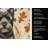 Black Cairn Terrier Heirloom Fall Kitchen Towel-1218231265