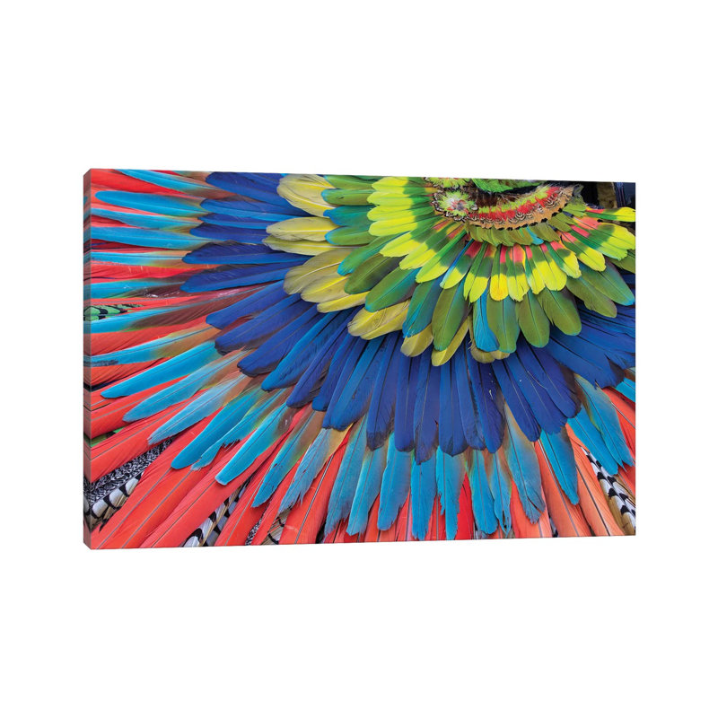 San Miguel De Allende, Mexique. "Native Feather Coiffe" par Darrell Gulin - Photographie sur toile tendue