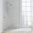 Shower Arm and Flange-61070215