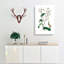 Wild Lettuce Illustration - Wrapped Canvas-55305338