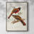 ElegantTrogonsIV Framed Print - Solid Wood-1067650612